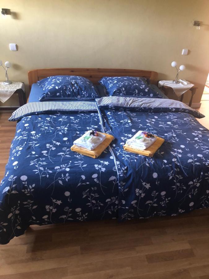 Ubytování v soukromí rodinné vily v Děčíně Decin Exterior foto