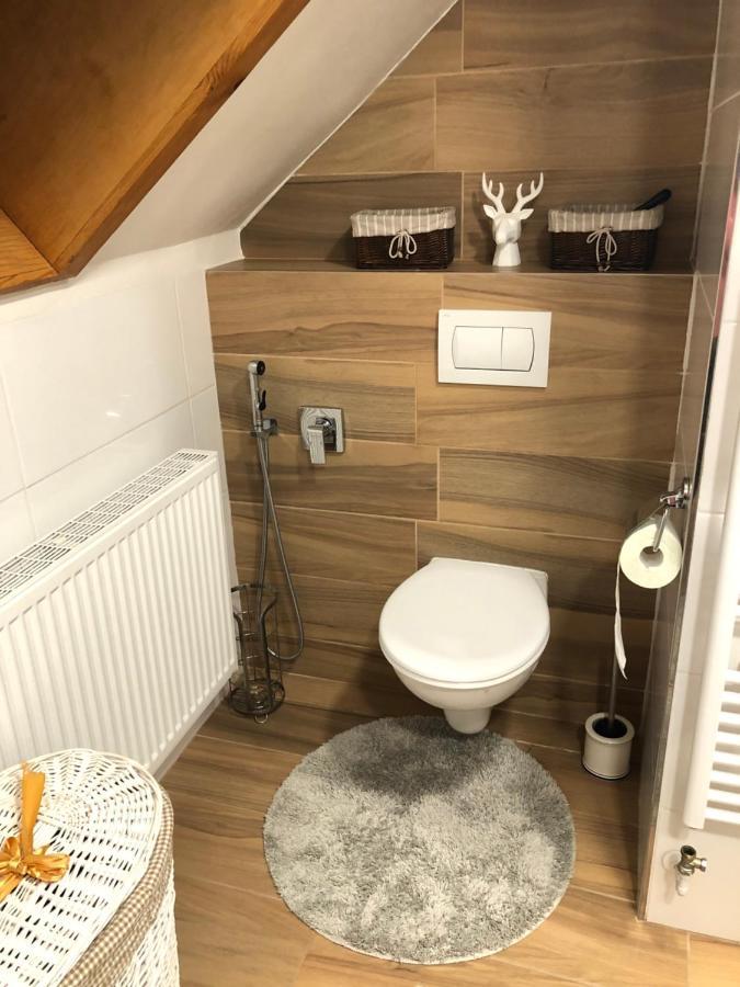 Ubytování v soukromí rodinné vily v Děčíně Decin Exterior foto