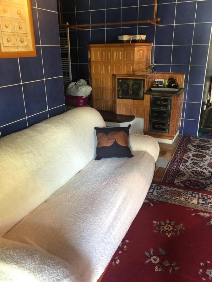 Ubytování v soukromí rodinné vily v Děčíně Decin Exterior foto